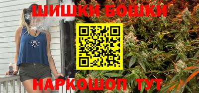 индика Кулебаки